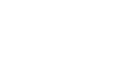 Zibi logo